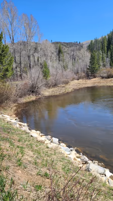 Spring Creek Dog Park at the Lower Pond photo 2